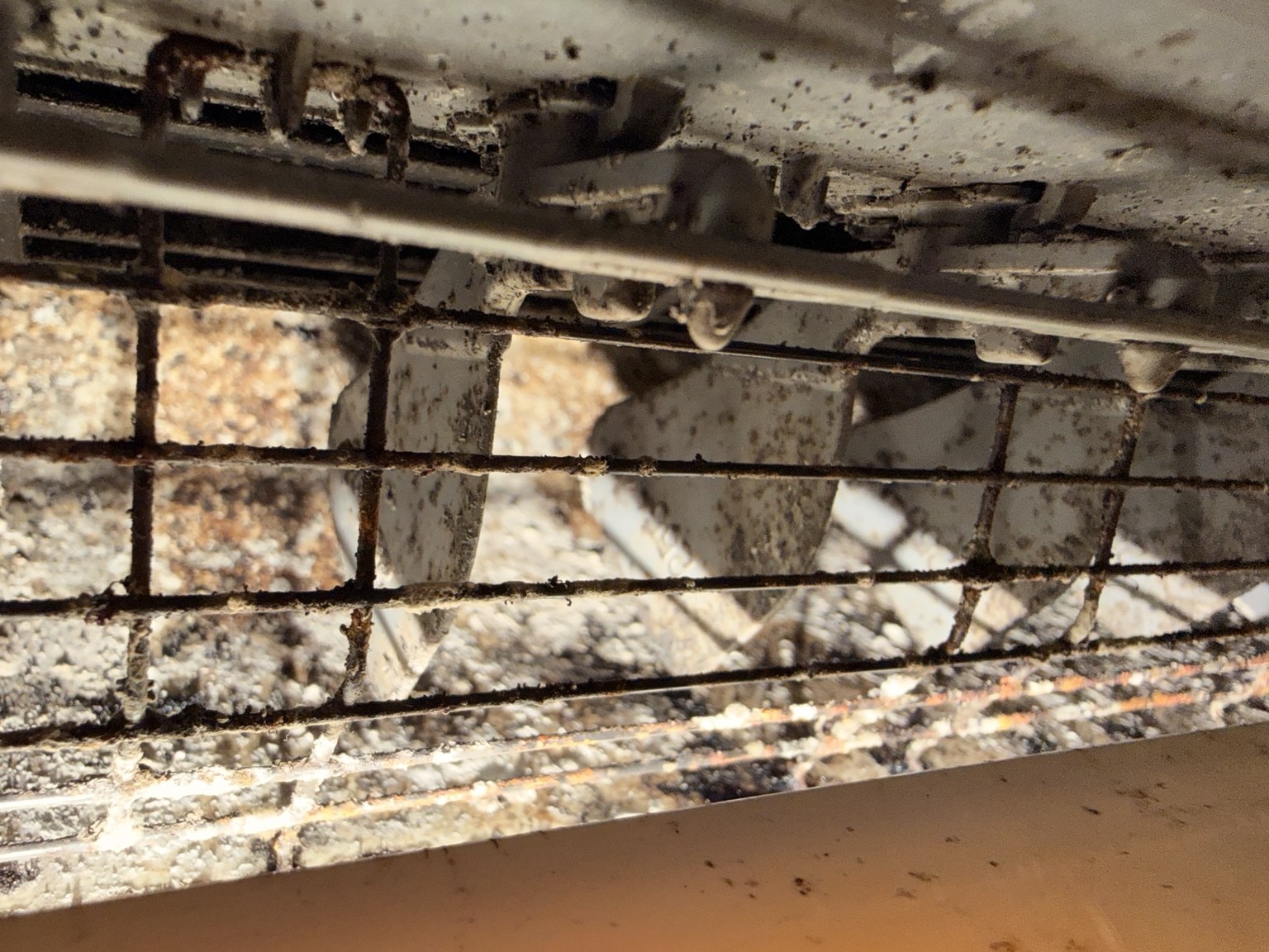 Dirty fan and housing on a poorly maintained ventilation unit